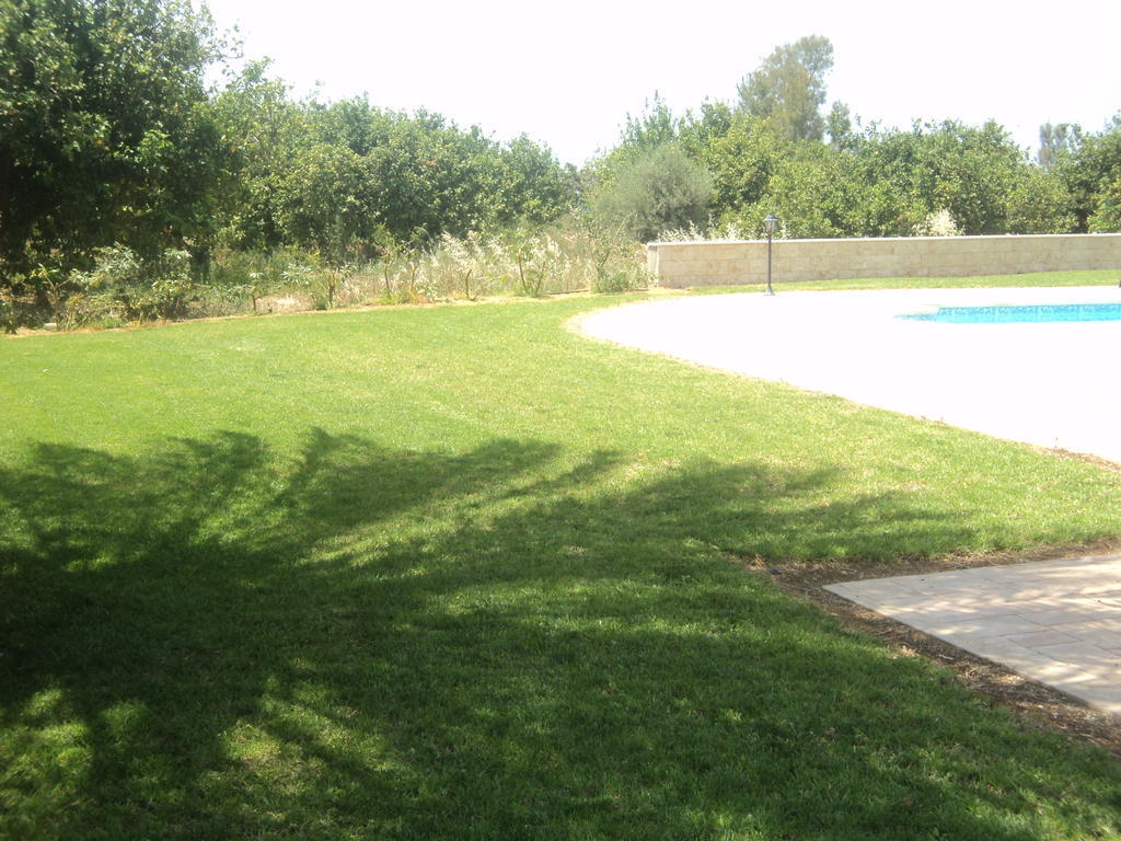 Citrus Grove Вілла Арґака